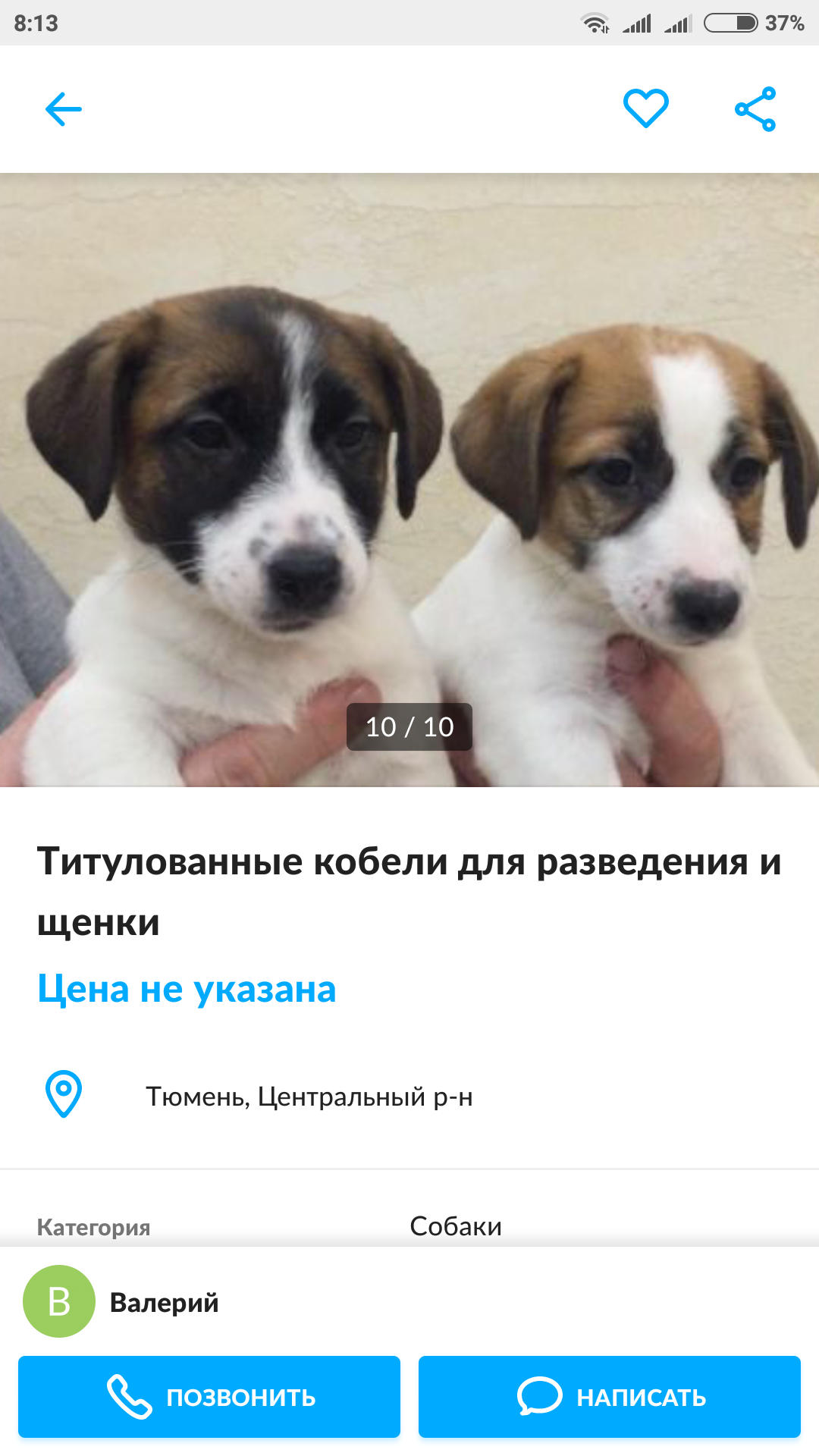 Дублер | Пикабу