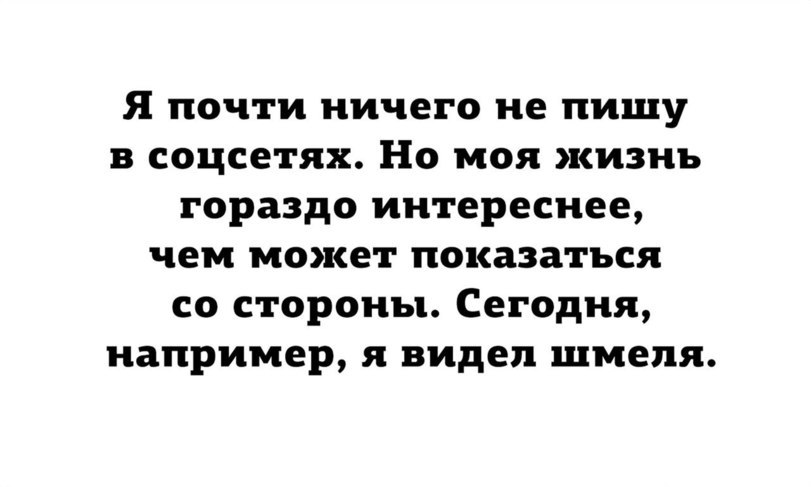 Ого! Да меня переплюнули...:( - Слова на фоне, Шмель, Социальные сети