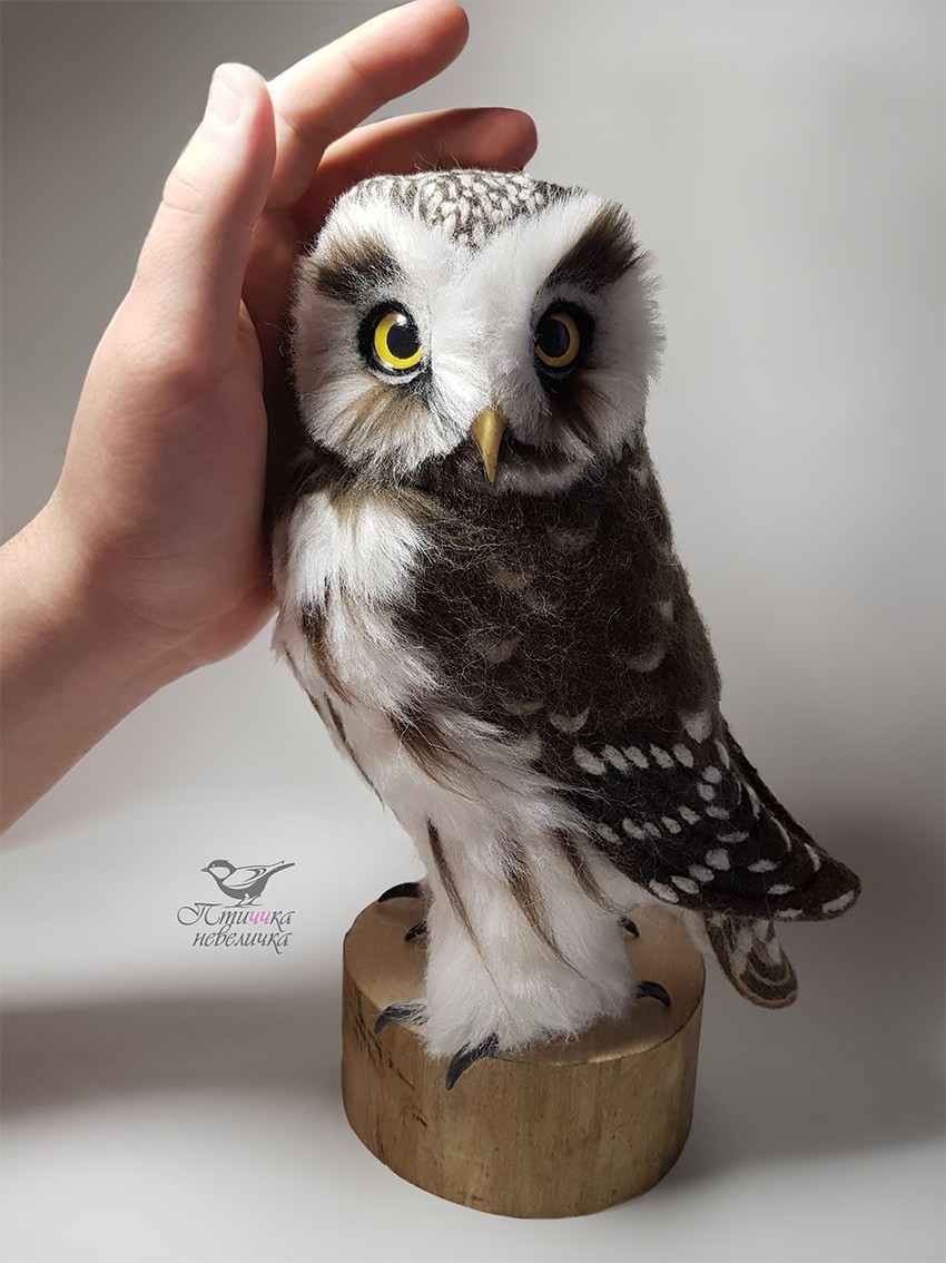 Rough-legged Owl (Aegolius funereus). Dry felting. - My, Dry felting, Needlework without process, Birds, With your own hands, Needlework, Handmade, Owl, Longpost