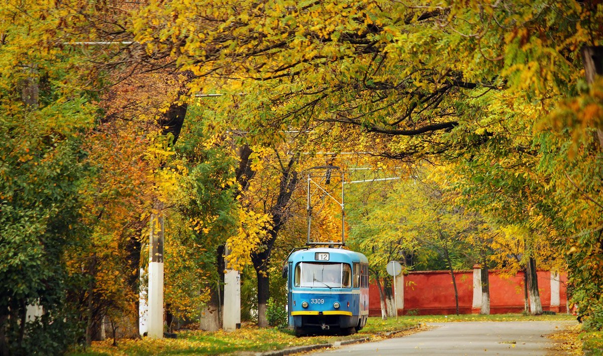 Photos with trams - My, The photo, Tram, Canon, Public transport, Longpost