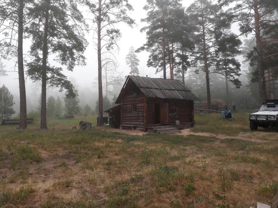 Осеннее утро в тайге