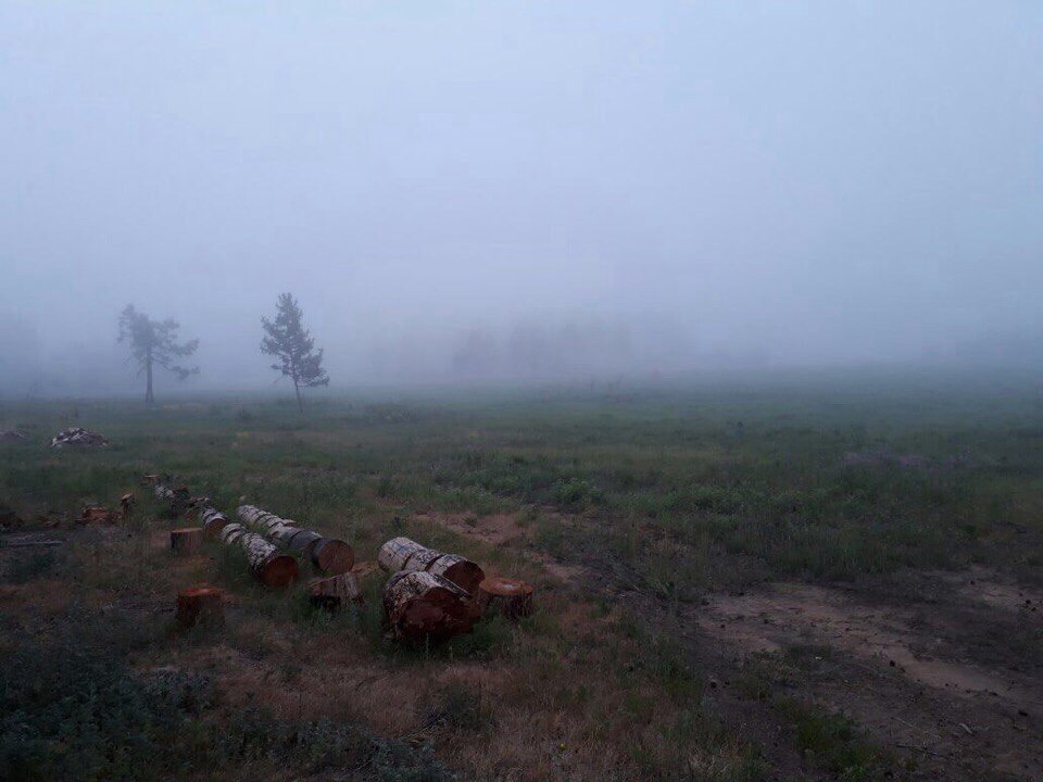 Утро в тайге - Моё, Тайга, Газимурский завод, Забайкалье, Охота, Зимовка, Утро, Туман