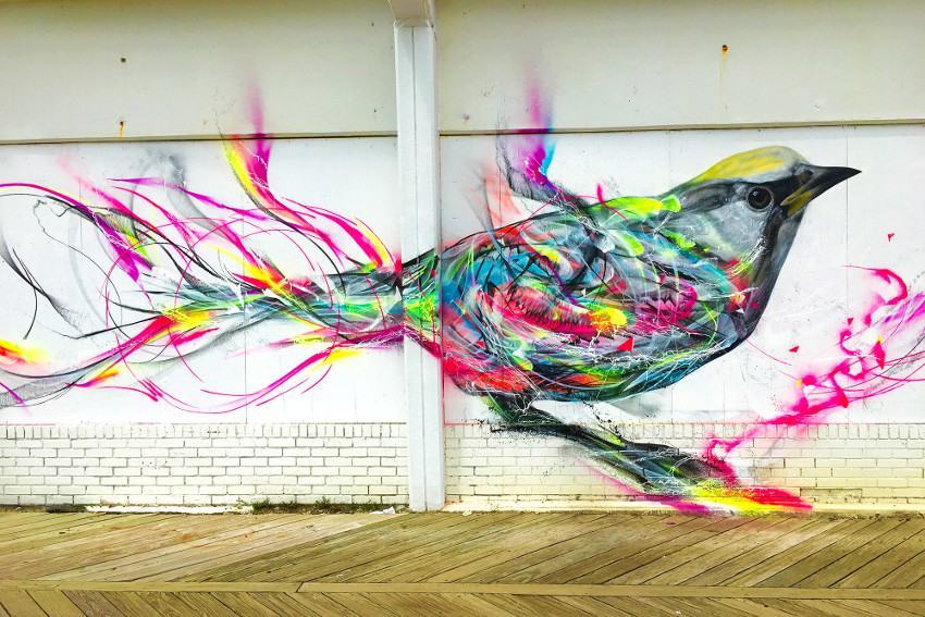 Feathered street art - , Graffiti, Street art, Art, Modern Art, Longpost