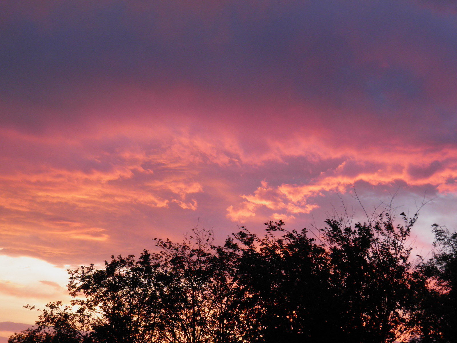 Wonderful sunset - Beginning photographer, Olimpus, My