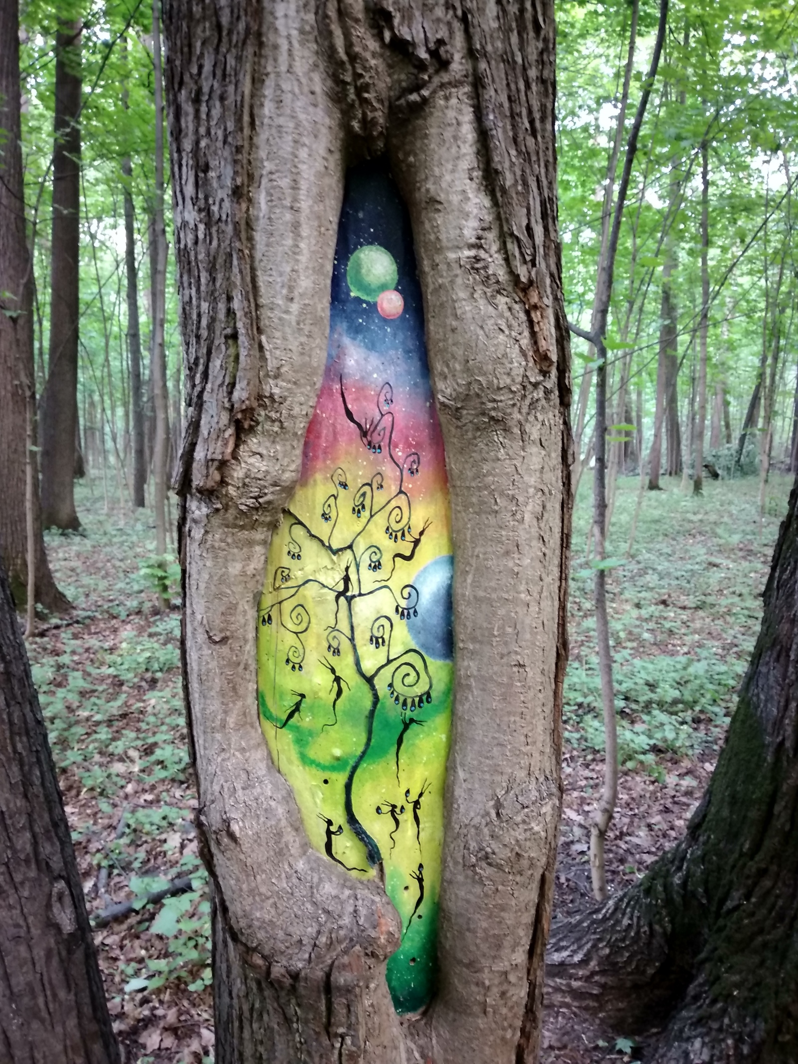 I'm an artist, that's how I see it - My, Izmailovsky park, Tree, Artist