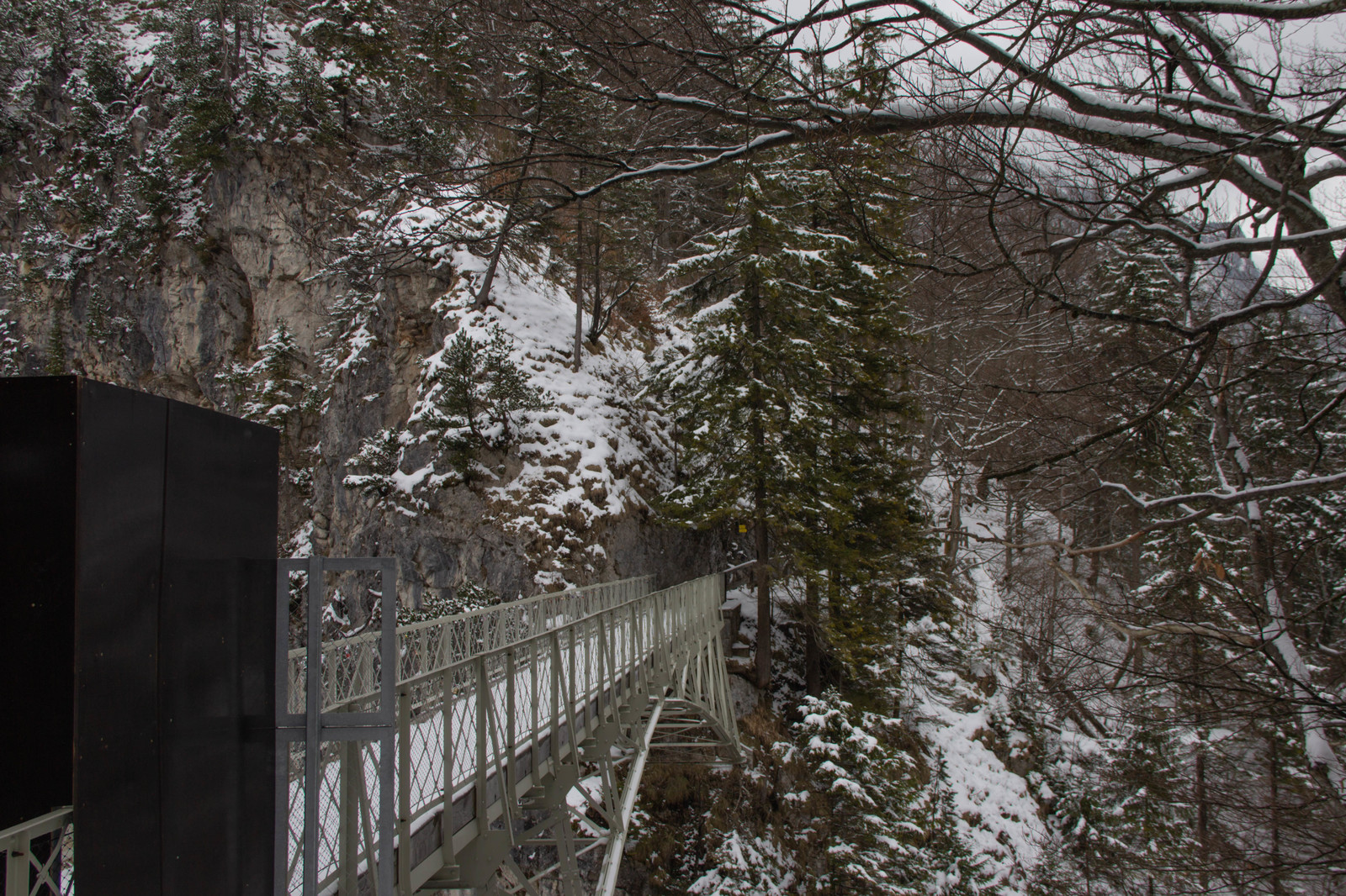 Winter Neuschwanstein - My, Fussen, Neuschwanstein, Germany, Winter, Lock, The photo, Longpost