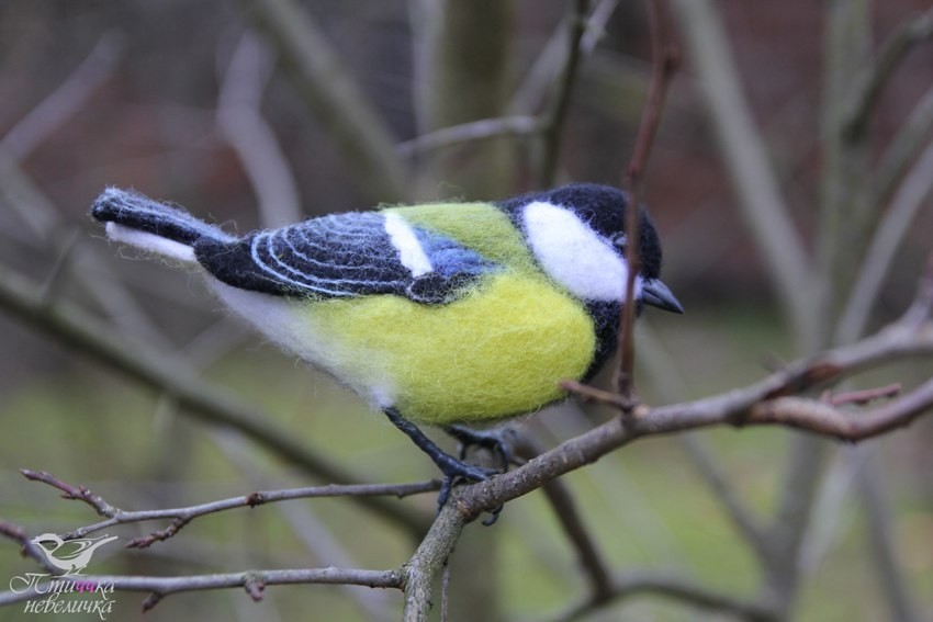 Tit. Dry felting. - My, Dry felting, Needlework without process, With your own hands, Creation, Birds, Tit, Handmade, Longpost