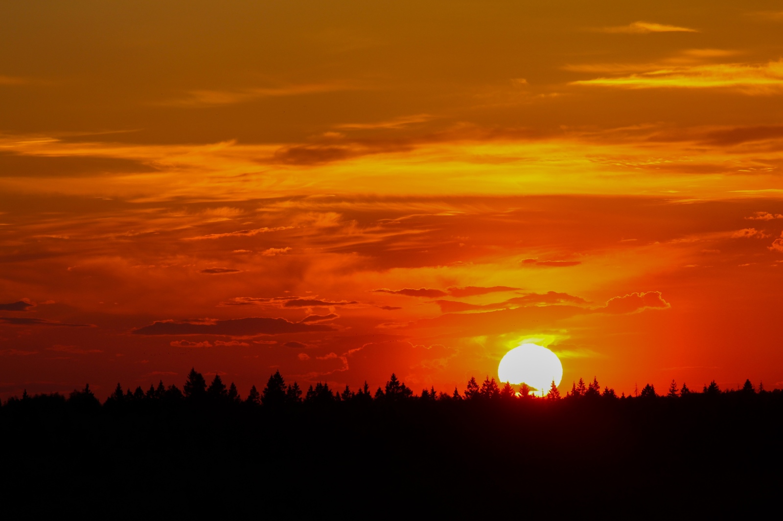 Sunset over Elk Island - My, The photo, Sunset, The sun, Balashikha, Evening, Elk Island