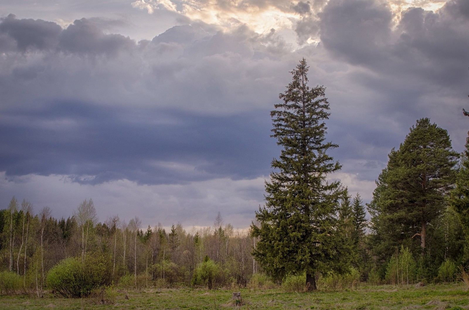 Деревенское - Моё, Фотография, Природа, Деревня, Животные, HDR, Длиннопост