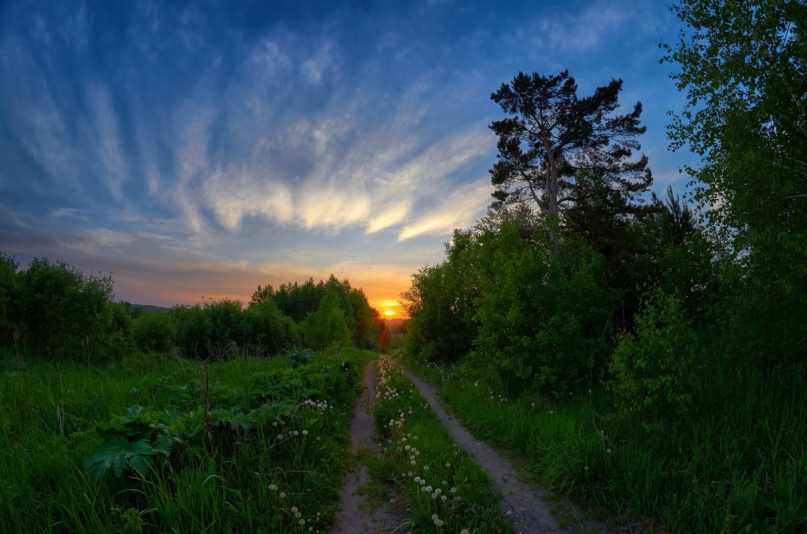 June evening in Siberia - My, Siberia, Nature, Sunset, HDR, Summer, Longpost, Prokopyevsk