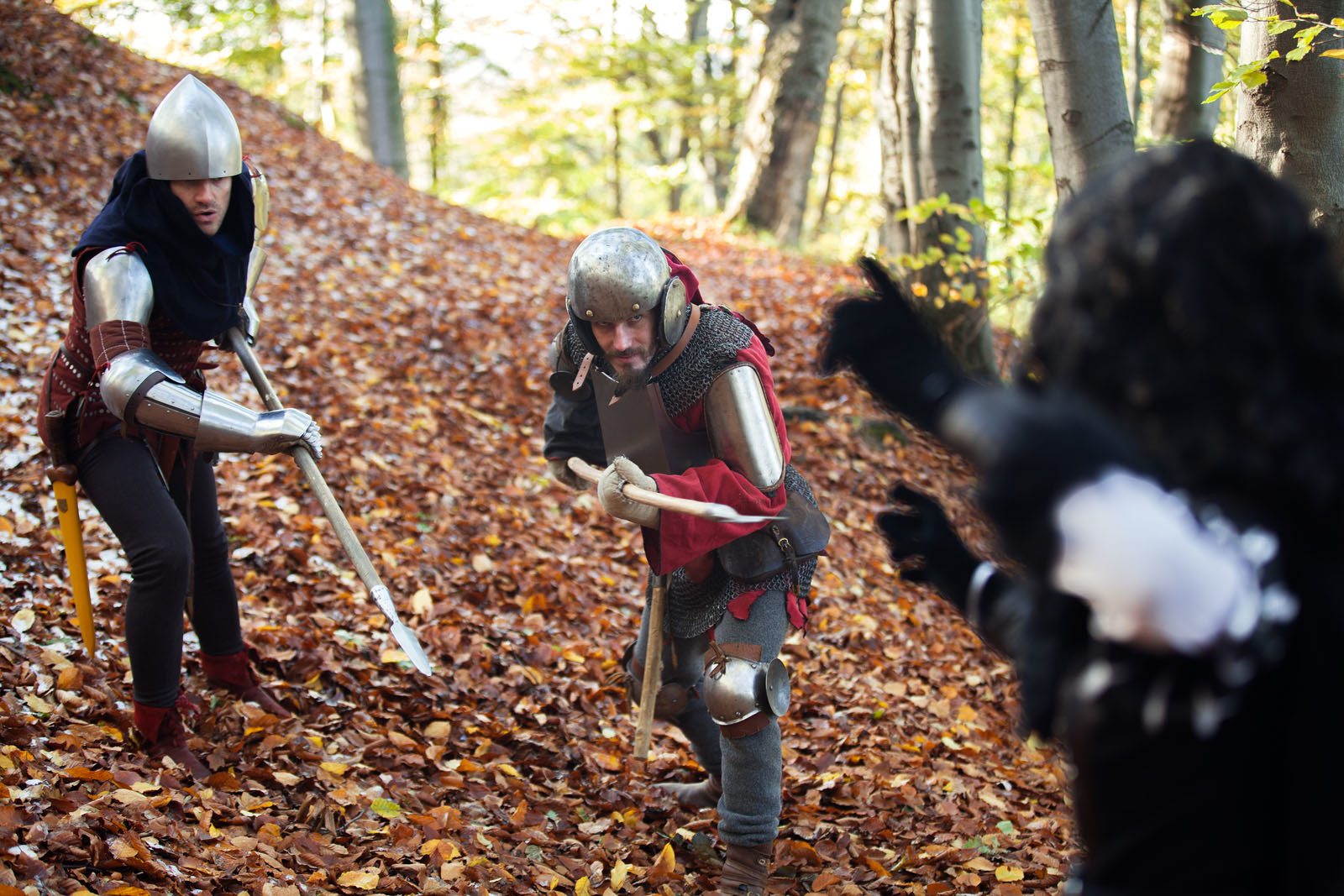 About the Witcher and cosplay. - My, Witcher, Cosplay, The photo, Forest, Longpost