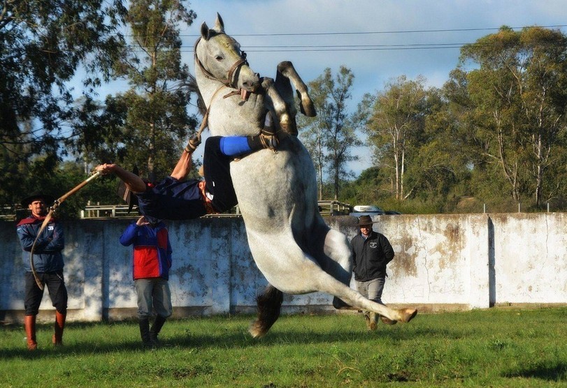 ee-ha - Rodeo, Horses, Rider, Unpleasant situation, Takeoff, Riders, Troubles