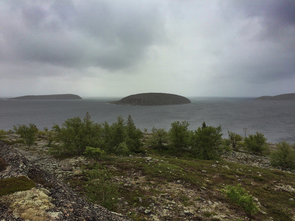 A few photos from a trip to the Kuzov archipelago in the White Sea - My, , White Sea, Rabocheostrovsk, Longpost, Kuzova Archipelago