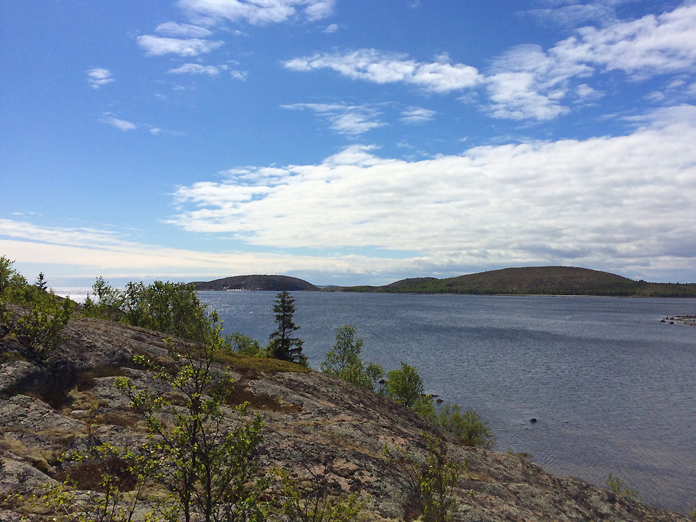 A few photos from a trip to the Kuzov archipelago in the White Sea - My, , White Sea, Rabocheostrovsk, Longpost, Kuzova Archipelago