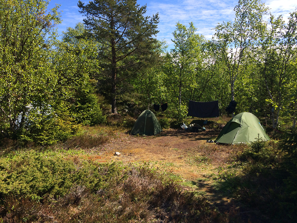 A few photos from a trip to the Kuzov archipelago in the White Sea - My, , White Sea, Rabocheostrovsk, Longpost, Kuzova Archipelago