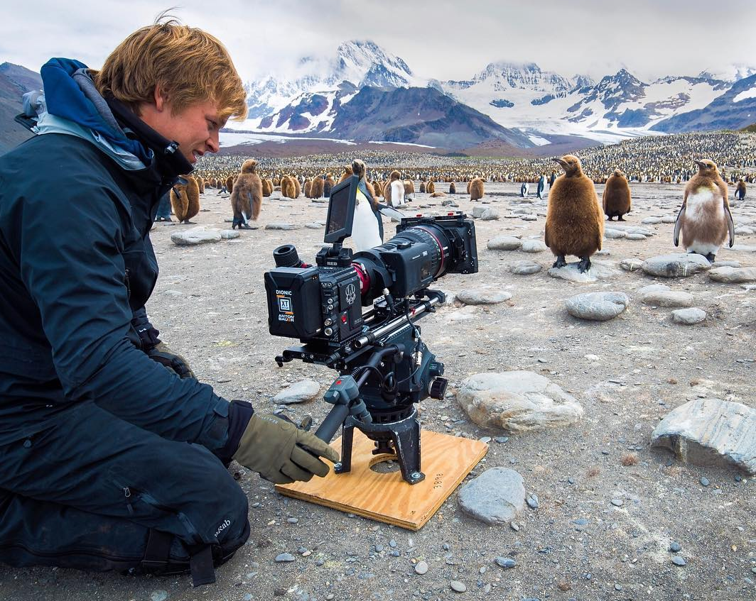 On the set - Penguins, The photo, Filming