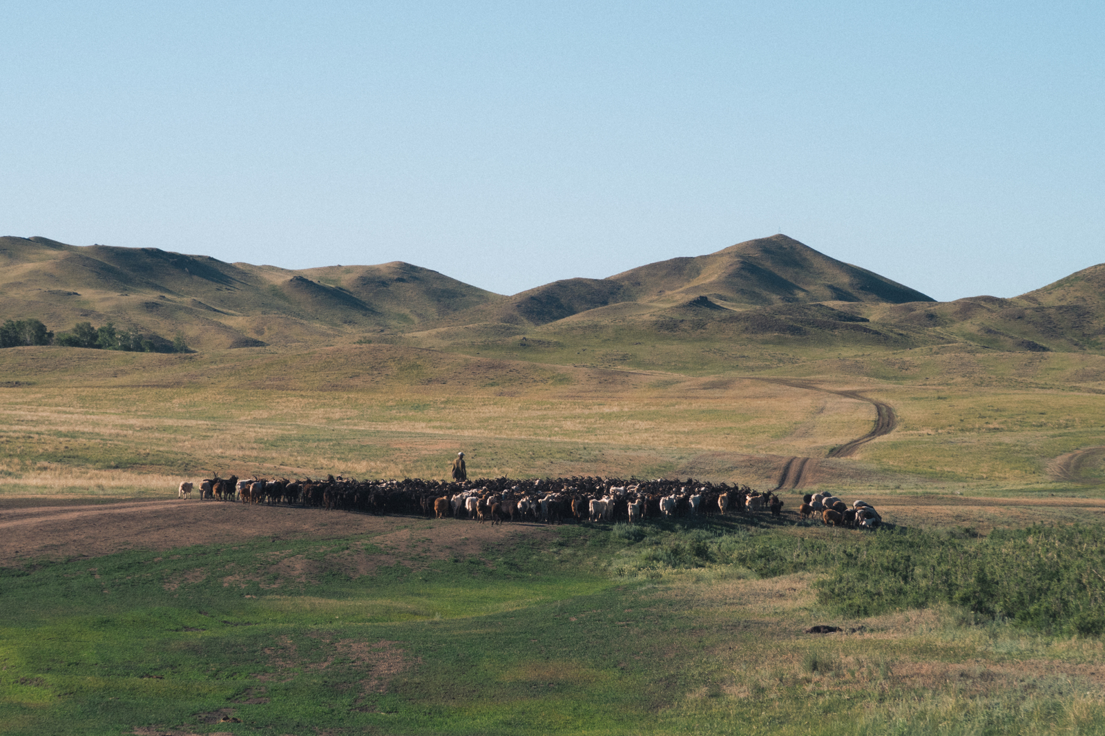 Morning in the South Urals - My, Steppe, Orenburg region, Ural, The photo, Landscape