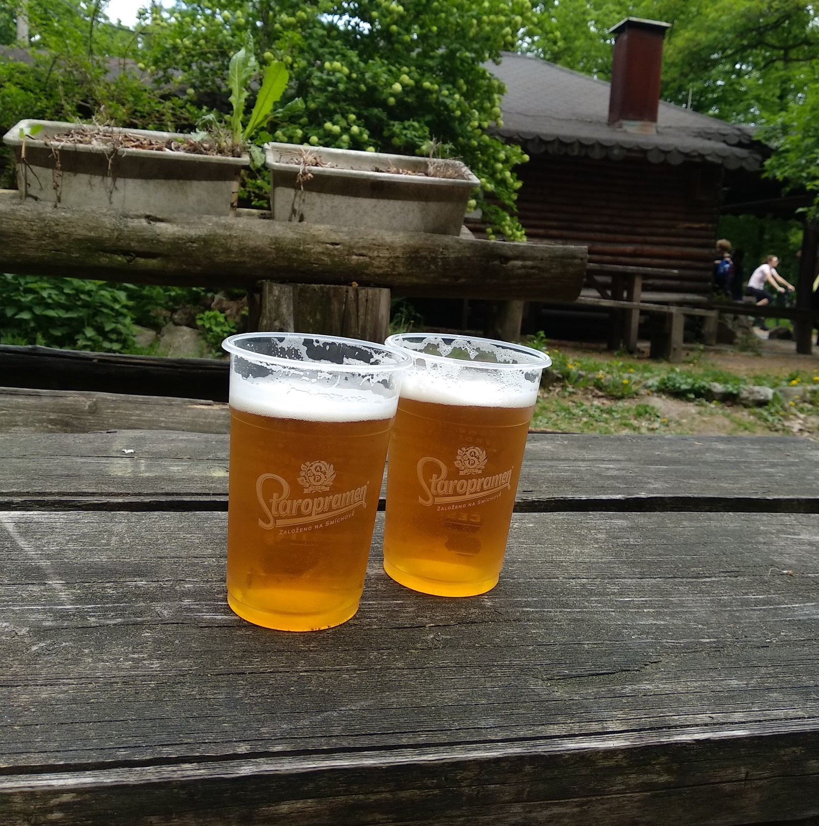 Roadside picnic in the forest of Bratislava - My, Slovakia, Picnic, Camping, Bratislava, Longpost