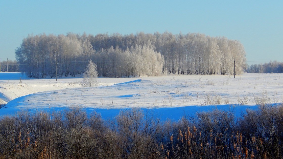 And from my window.. - My, Rural life, View from the window, My, Longpost