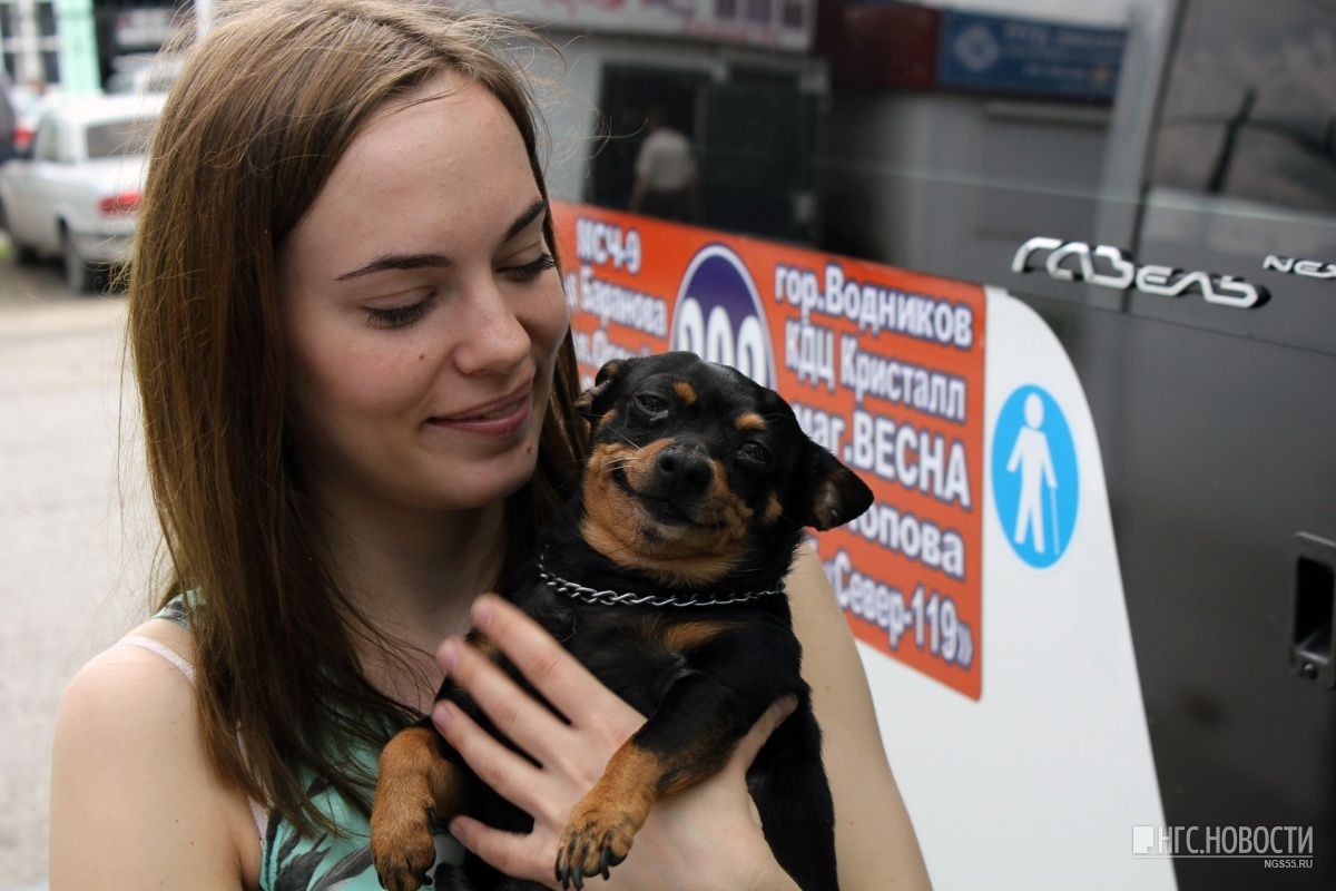 Unusual minibus in Omsk - Omsk, Dogs and people, Minibus, Kindness, Dog