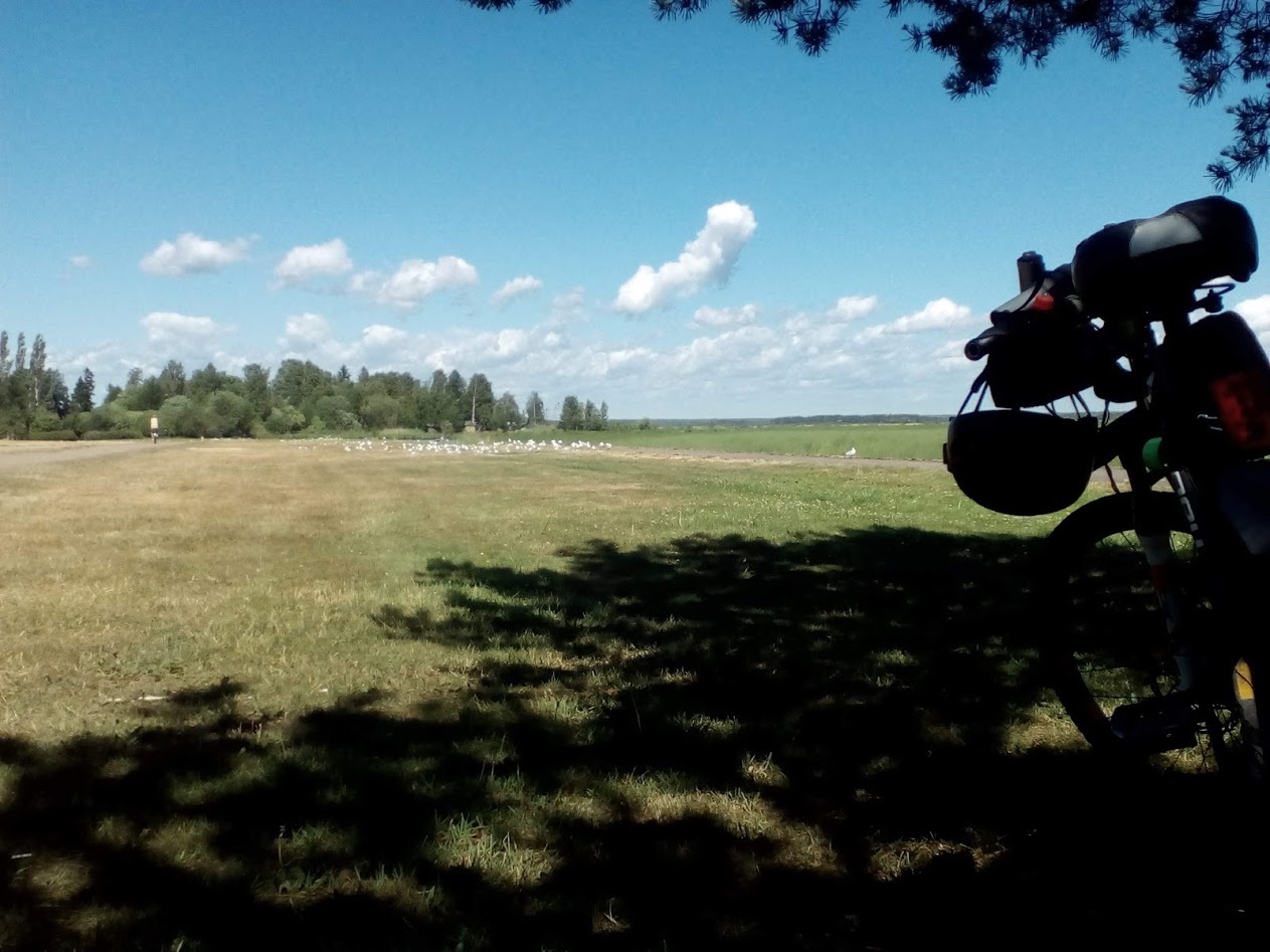 Первая Сотка. СПБ-Зеленогорск. 20-06-2018 | Пикабу