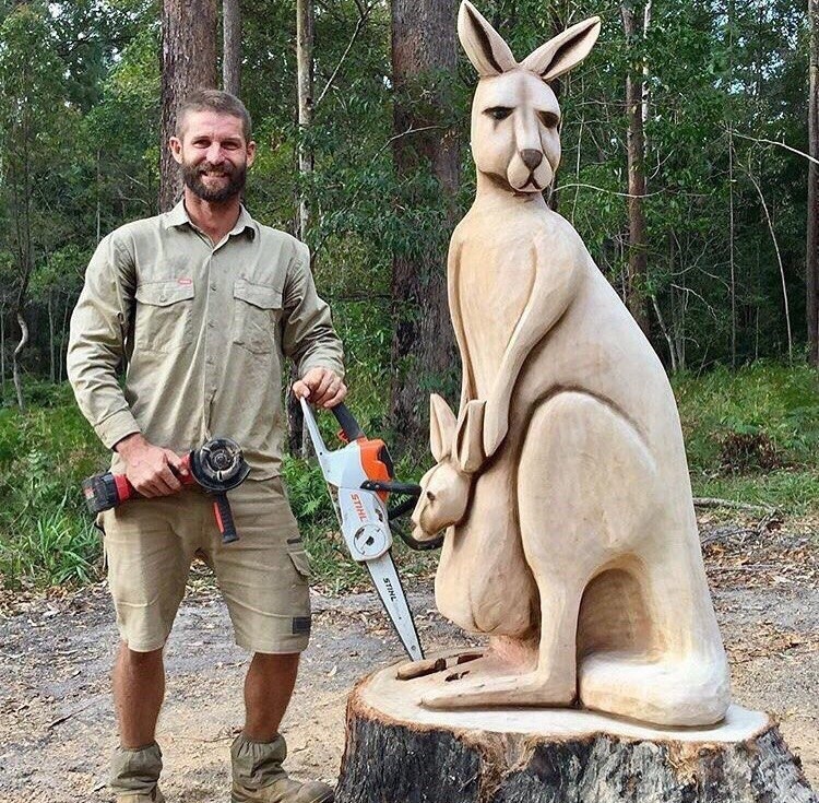 Sawed - Kangaroo, Tree, Saw, The photo