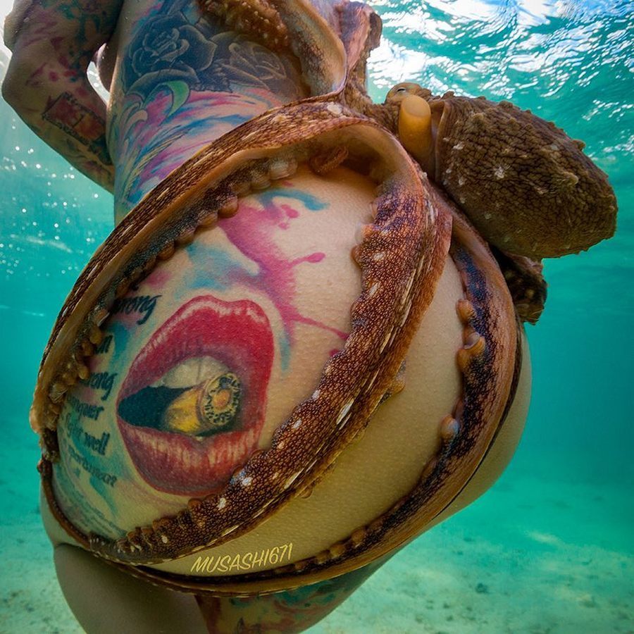 Incredible adventures of the octopus - NSFW, Girls, Sea, Ocean, Octopus, Erotic, Beautiful girl, Nature, Longpost