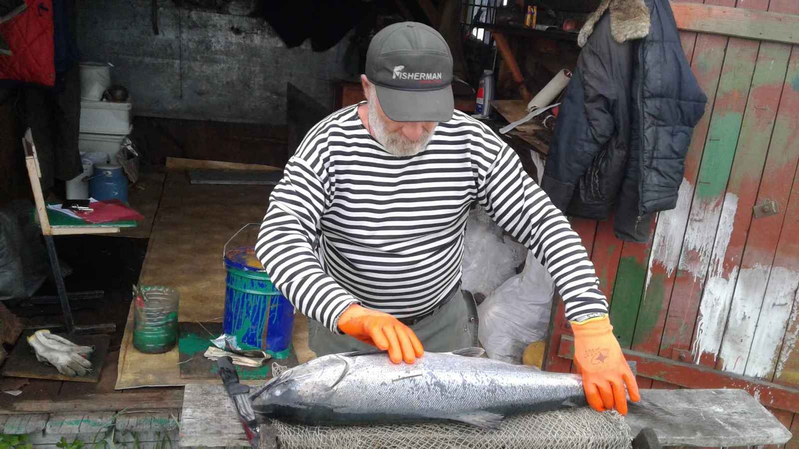 Opened the season. - My, Fishing, Sockeye salmon, Caviar, Open season, Longpost, A fish