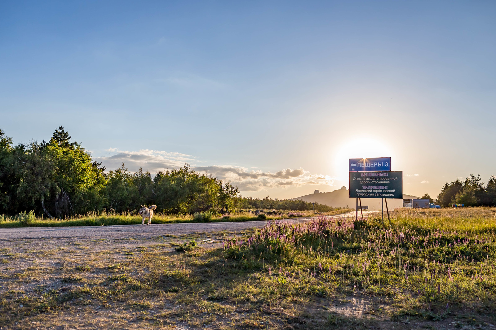 Trekking to Ai-Petri with overnight stay. Crimea. - My, Crimea, Travels, Tourism, The mountains, The photo, Animals, People, Nature, Longpost