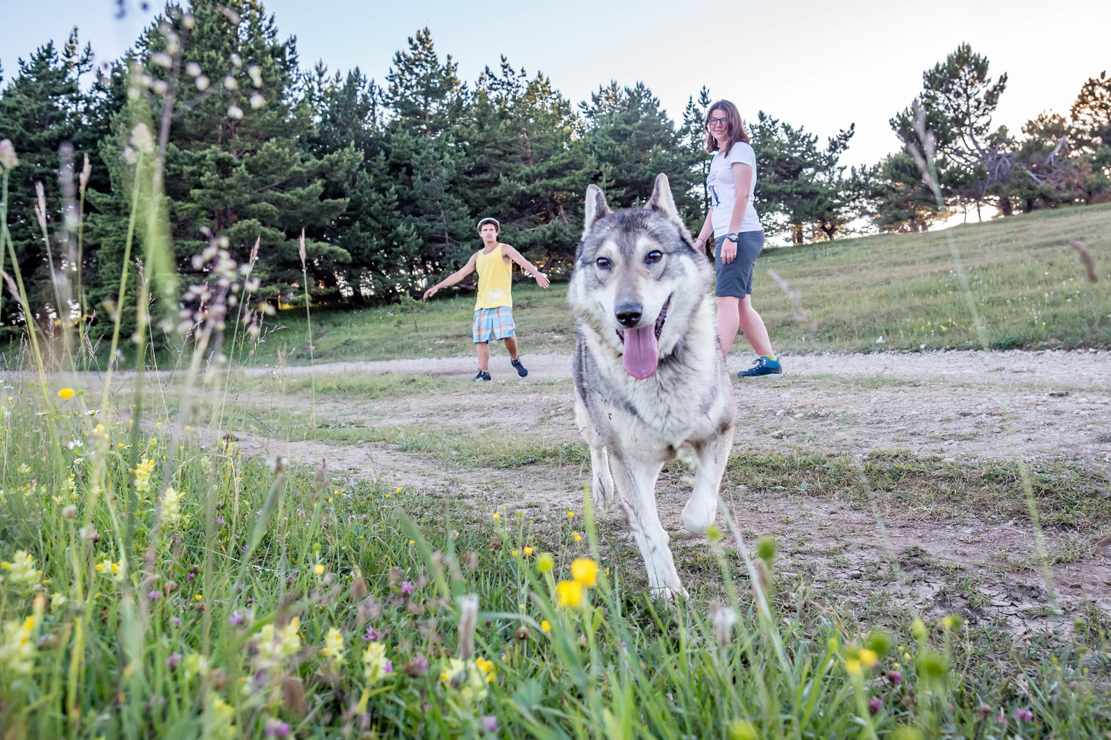 Trekking to Ai-Petri with overnight stay. Crimea. - My, Crimea, Travels, Tourism, The mountains, The photo, Animals, People, Nature, Longpost