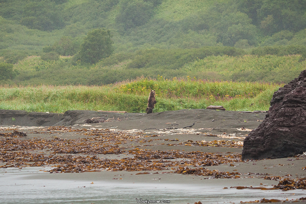 Have you been to Kamchatka Africa? - , Bering Sea, Kamchatka, Lighthouse, Weather station, Longpost