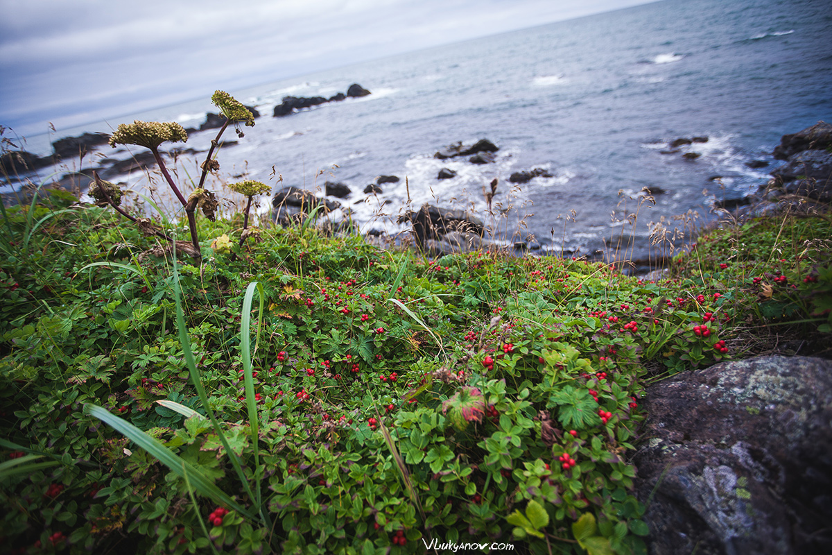 Have you been to Kamchatka Africa? - , Bering Sea, Kamchatka, Lighthouse, Weather station, Longpost