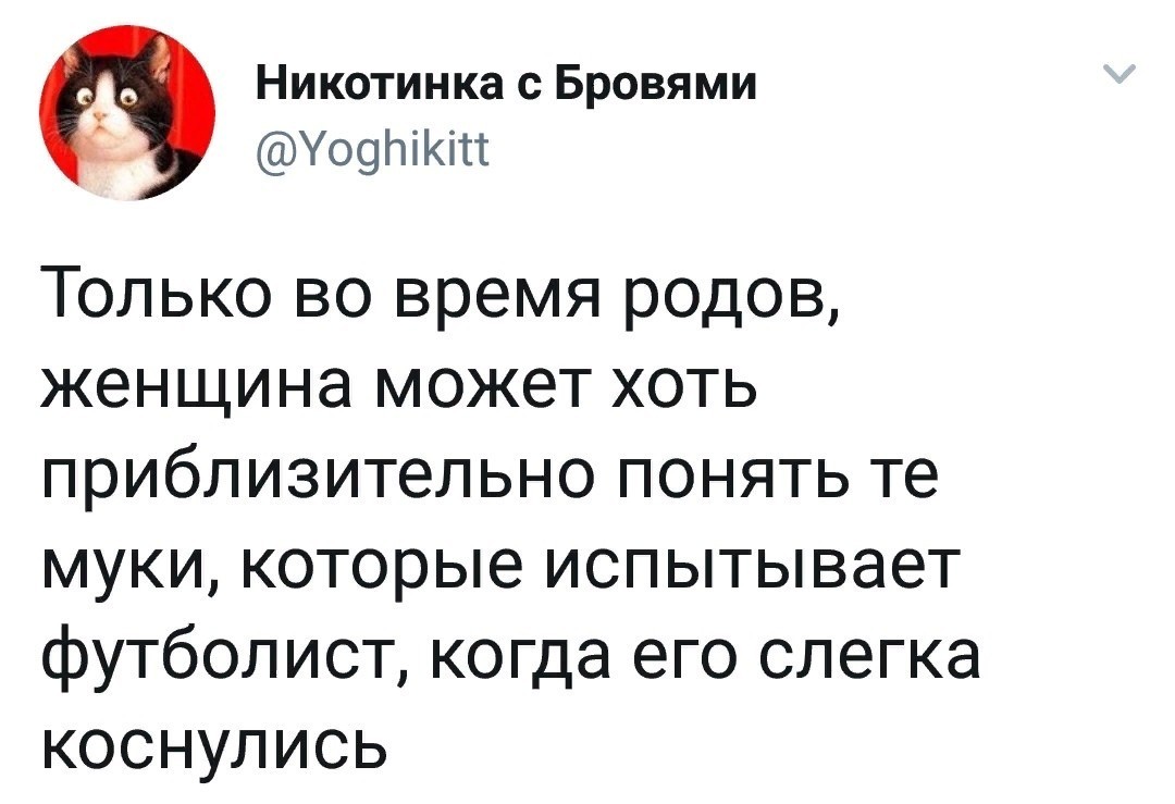 Ранимые футболисты(Фанаты, не бейте) - Twitter, Футбол, Скриншот, Симулятор