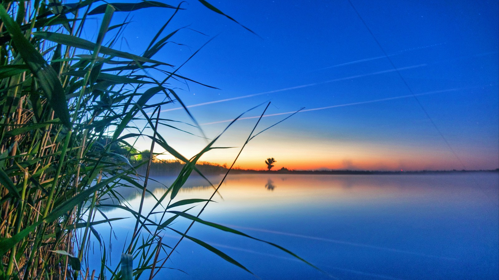 Early morning on the pond - My, dawn, Landscape, Long exposure, Nature