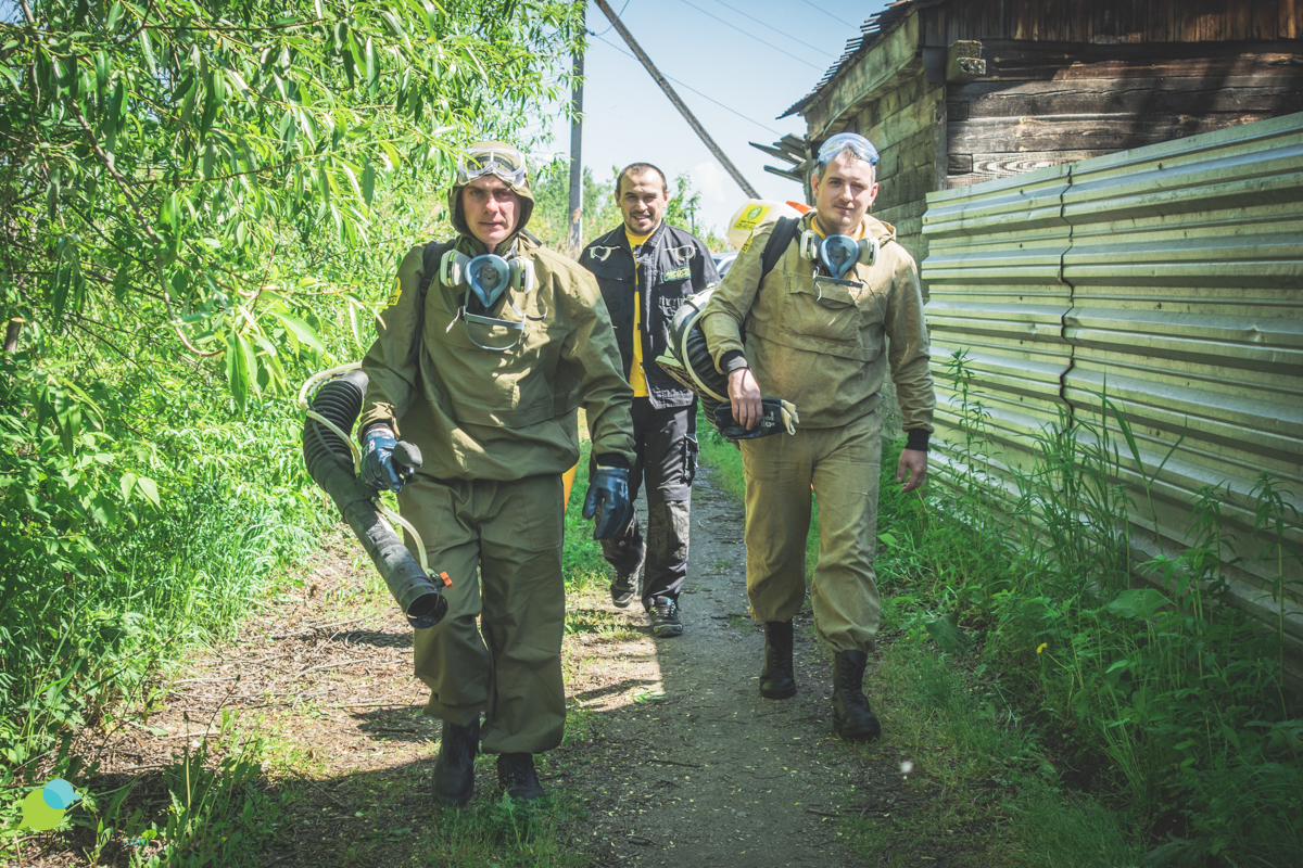 One day “on the feet” with a brigade of exterminators of insects and rodents. - Disinfection, Chelyabinsk, Parasites, Mite, Mosquitoes, Insects, Longpost