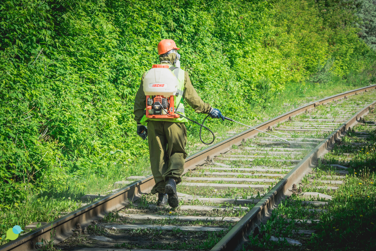 One day “on the feet” with a brigade of exterminators of insects and rodents. - Disinfection, Chelyabinsk, Parasites, Mite, Mosquitoes, Insects, Longpost