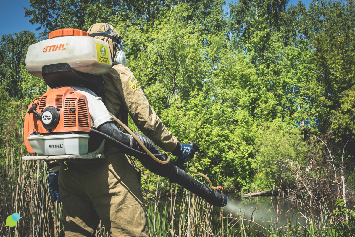 One day “on the feet” with a brigade of exterminators of insects and rodents. - Disinfection, Chelyabinsk, Parasites, Mite, Mosquitoes, Insects, Longpost