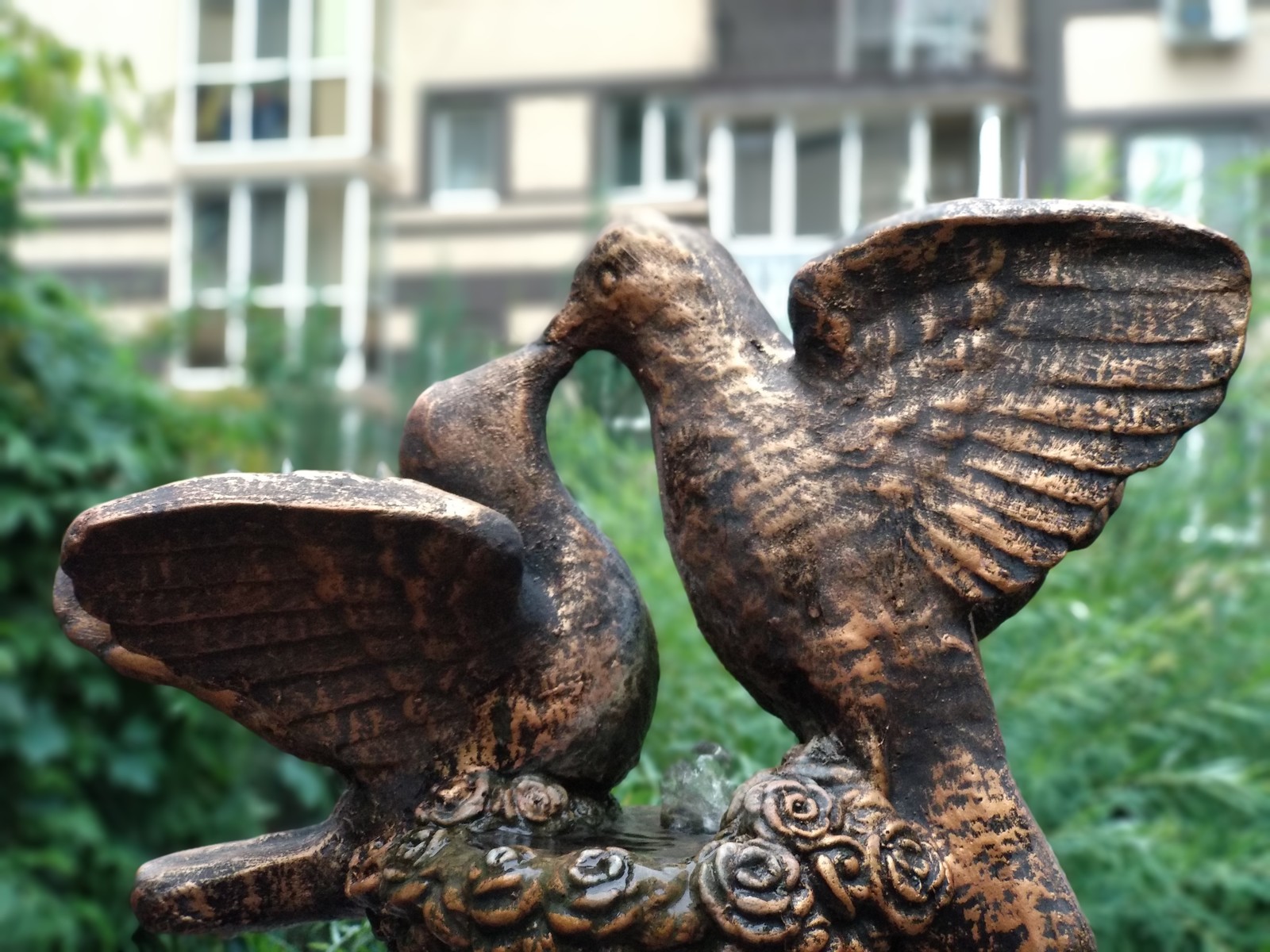 Love - My, The photo, Fountain, Birds, Love