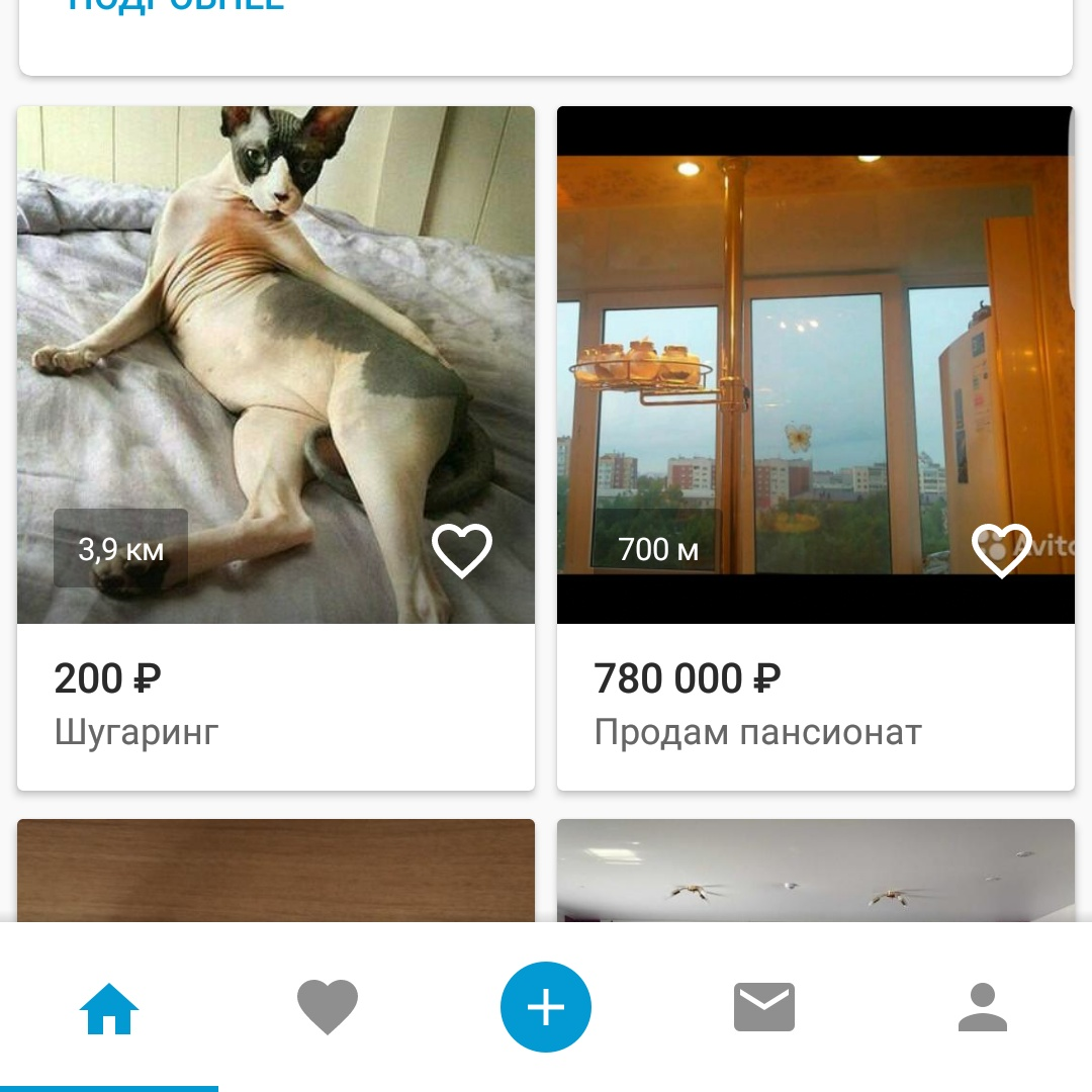 Marketing level Yula - Humor, Cat breeds, Shugaring, Yula, Screenshot, cat