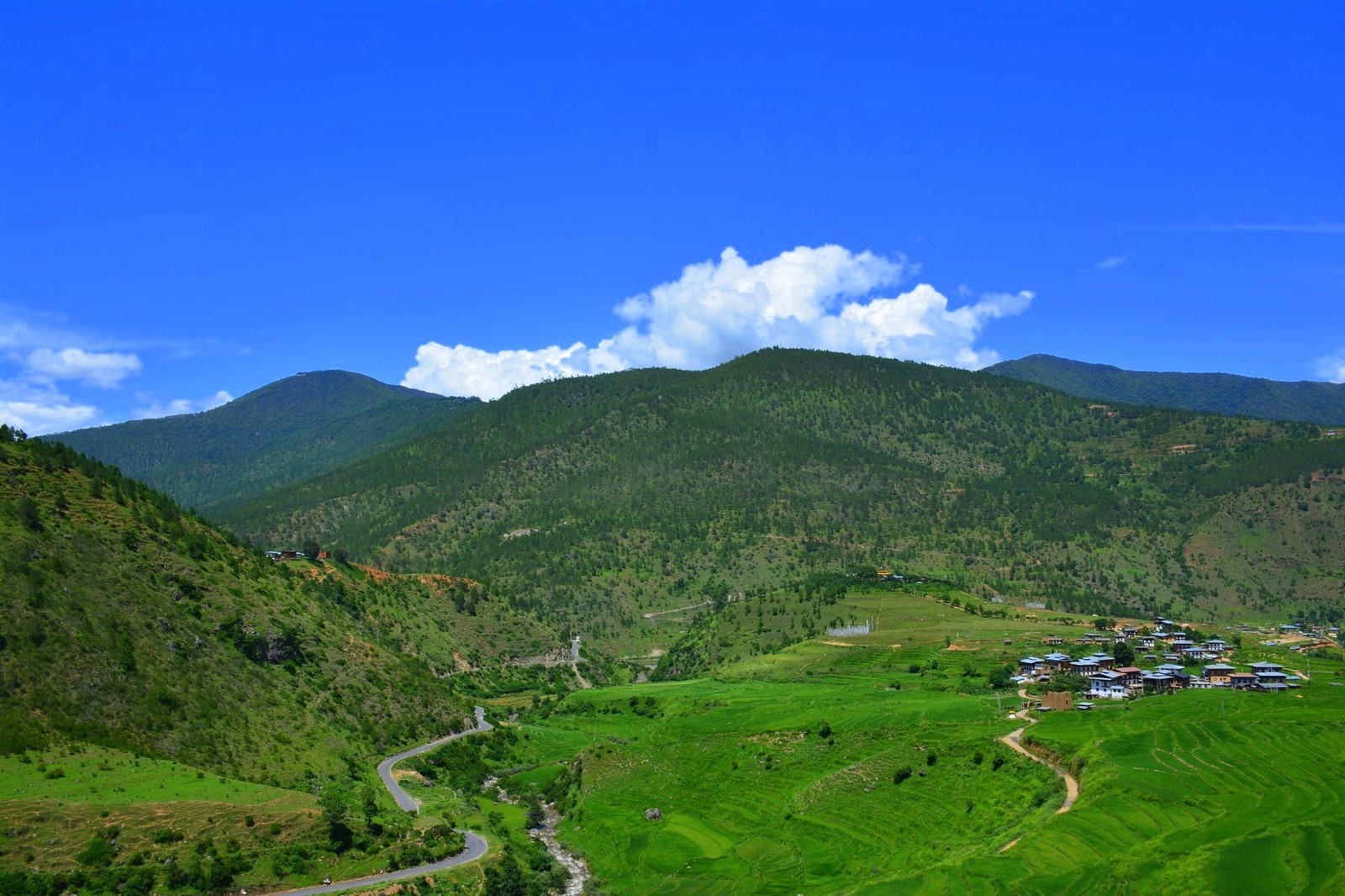 Mysterious Kingdom of Bhutan. Punakha - NSFW, My, Travels, Tourism, The photo, Bhutan, Bhutan, Longpost