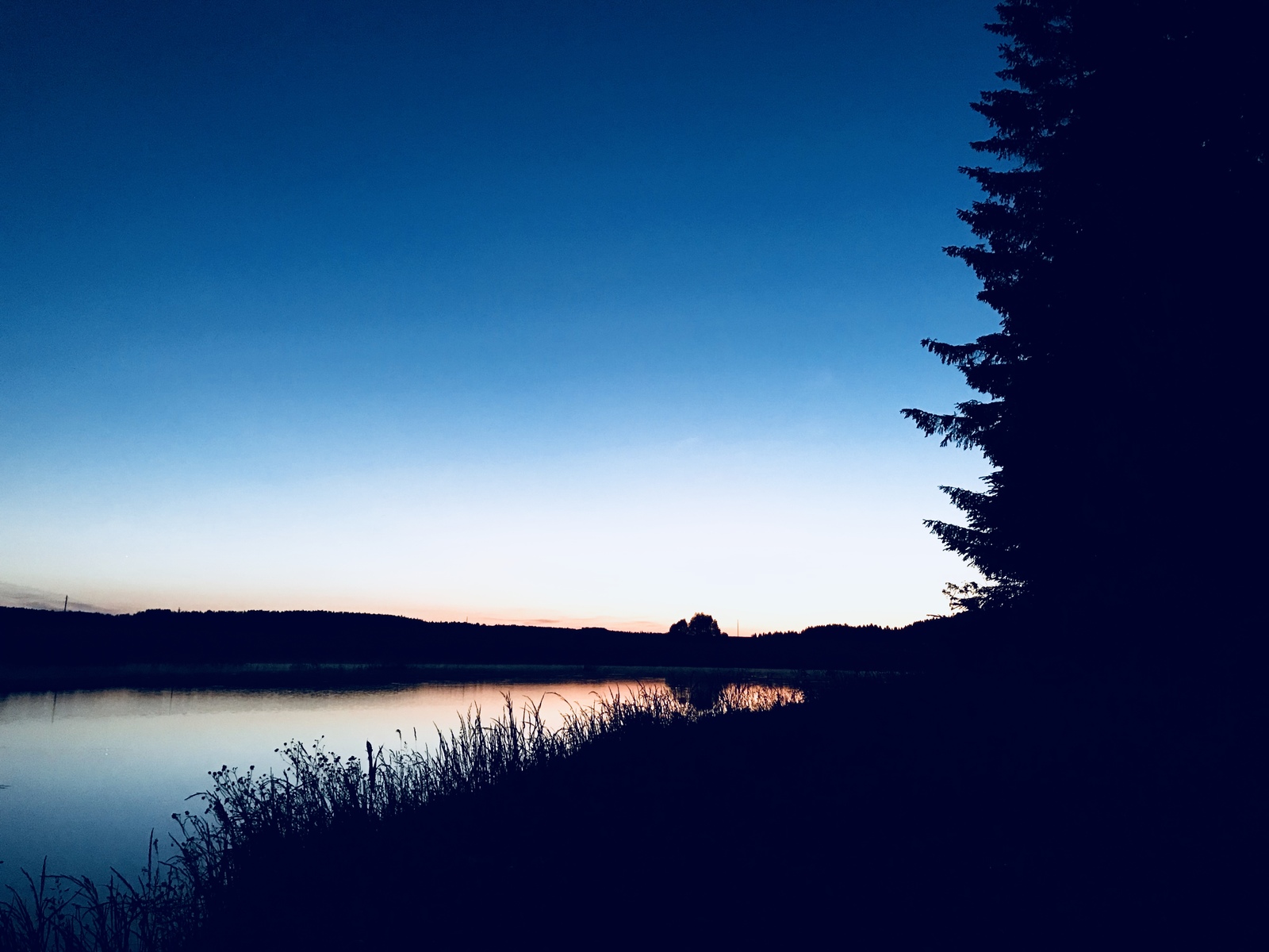 Sky, forest, water - My, The photo, Forest