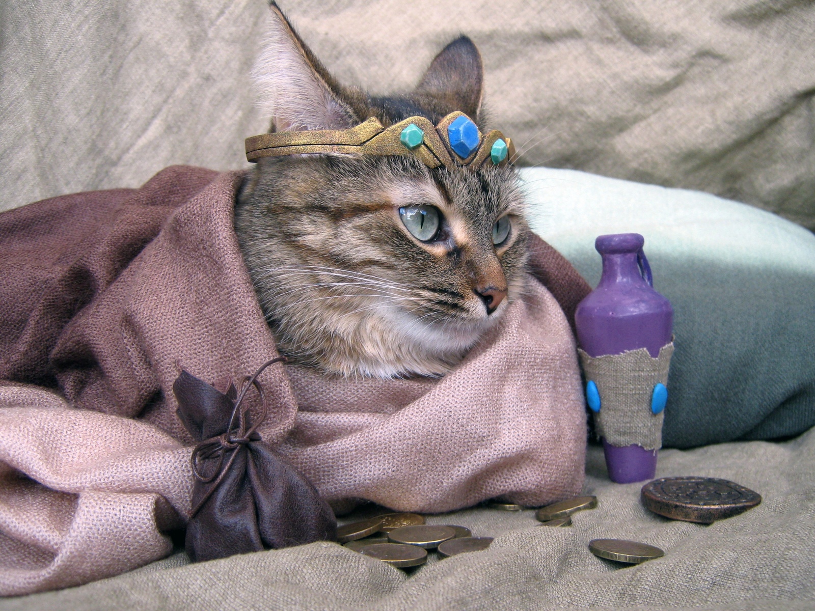 The Khajiit has merchandise if you have coins, friend! - cat, Khajiit, The elder scrolls, Cosplay, Longpost