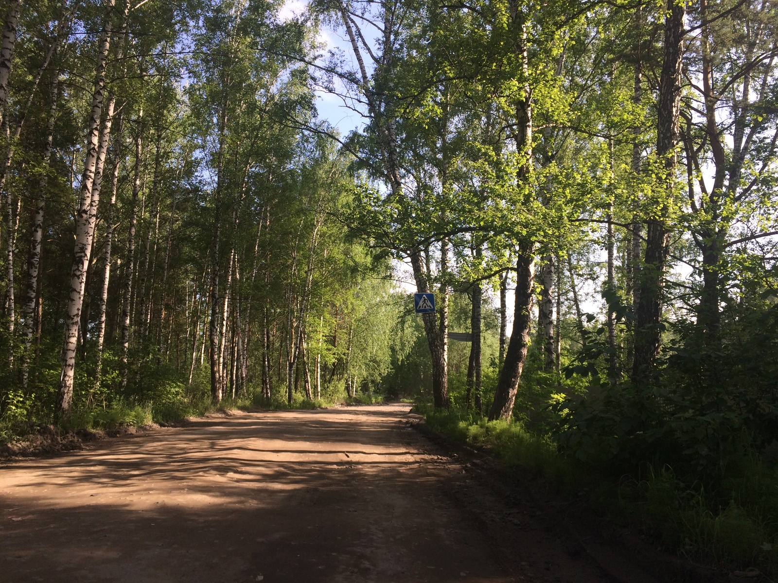 ok, slow down - My, Crosswalk, zebra, Dacha