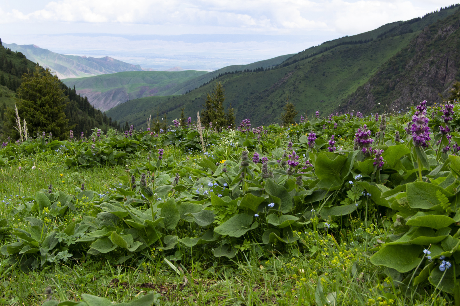 Lake Kel-Tor, Kyrgyzstan - My, Hike, , , glacial lake, Kyrgyzstan, Longpost