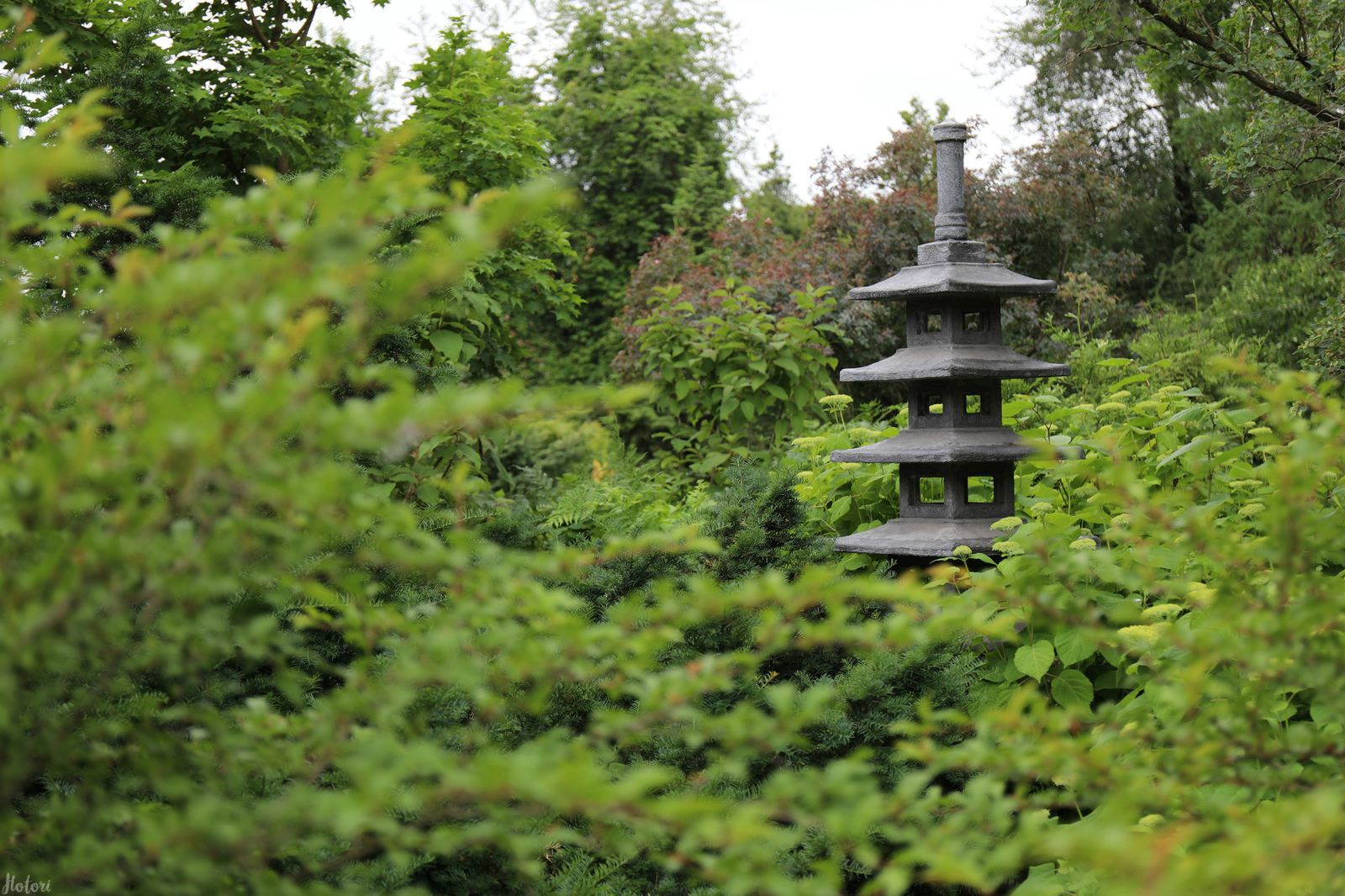 A piece of the botanical garden in your feed - My, Botanical Garden, Saint Petersburg, Longpost