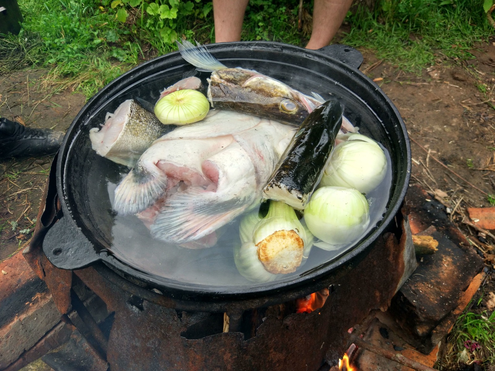 Ear on the fire - My, Food, Ear, Recipe, Photorecept, Tralex Recipes, Taste recipe, Longpost