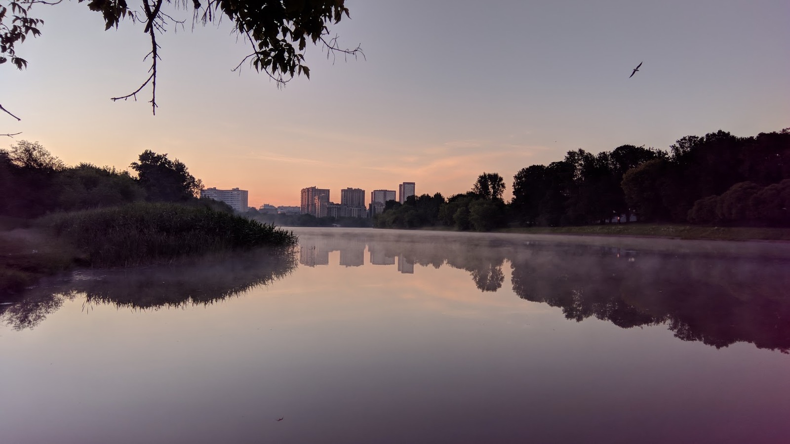 Доброе утро - Москва, Измайлово, Фотография, Утро, Длиннопост