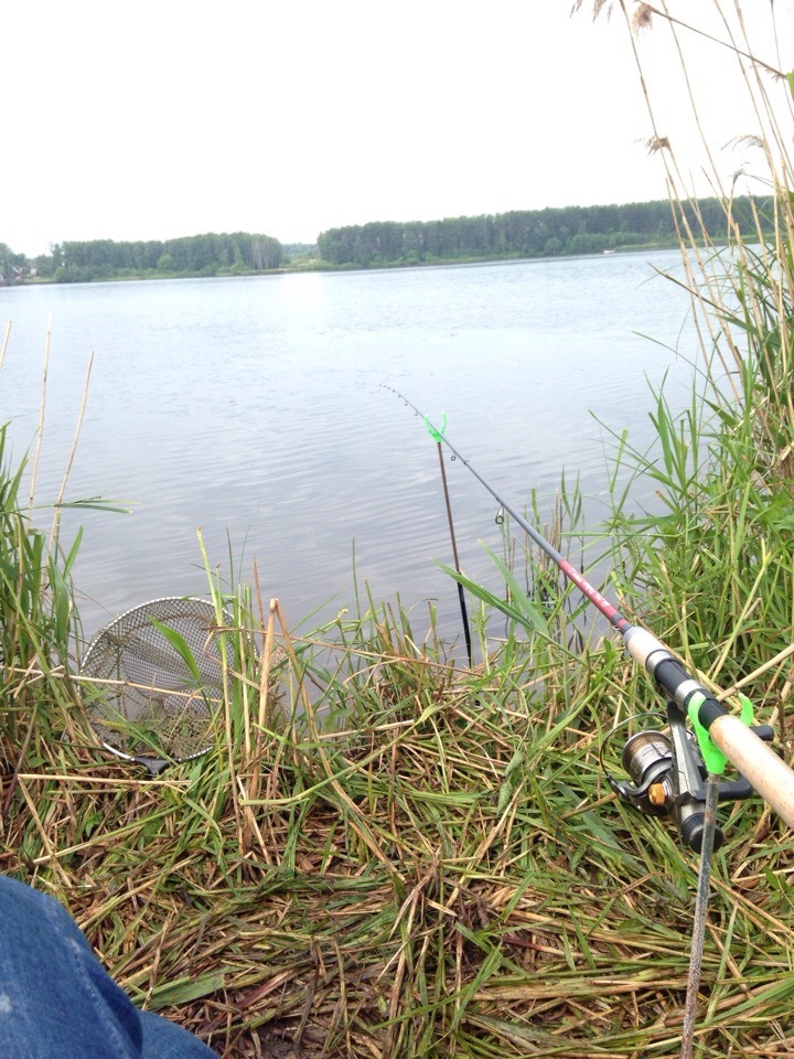 Long awaited week - My, Fishing, Nature, Longpost, The photo, Fishing rod, A fish, My, Relaxation