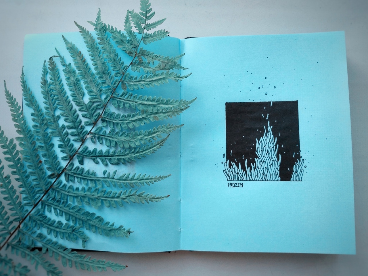 Minimalistic drawings of plants - My, Drawing, Art, Plants, Minimalism, Notebook, Fern, Longpost