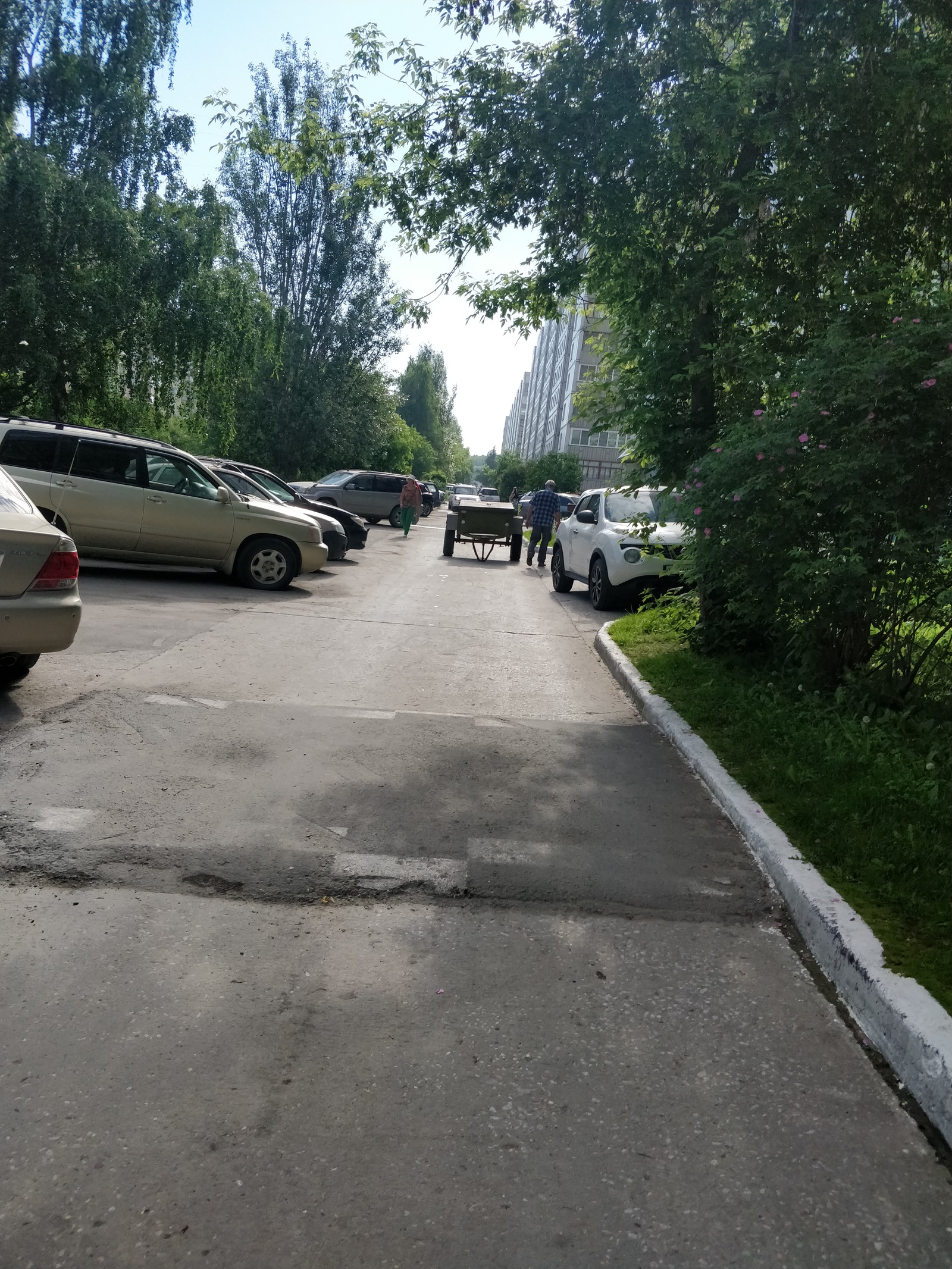 When it's not enough to fill a parking space, you need to go straight to the street - Parking, Trailer, Novosibirsk, Longpost